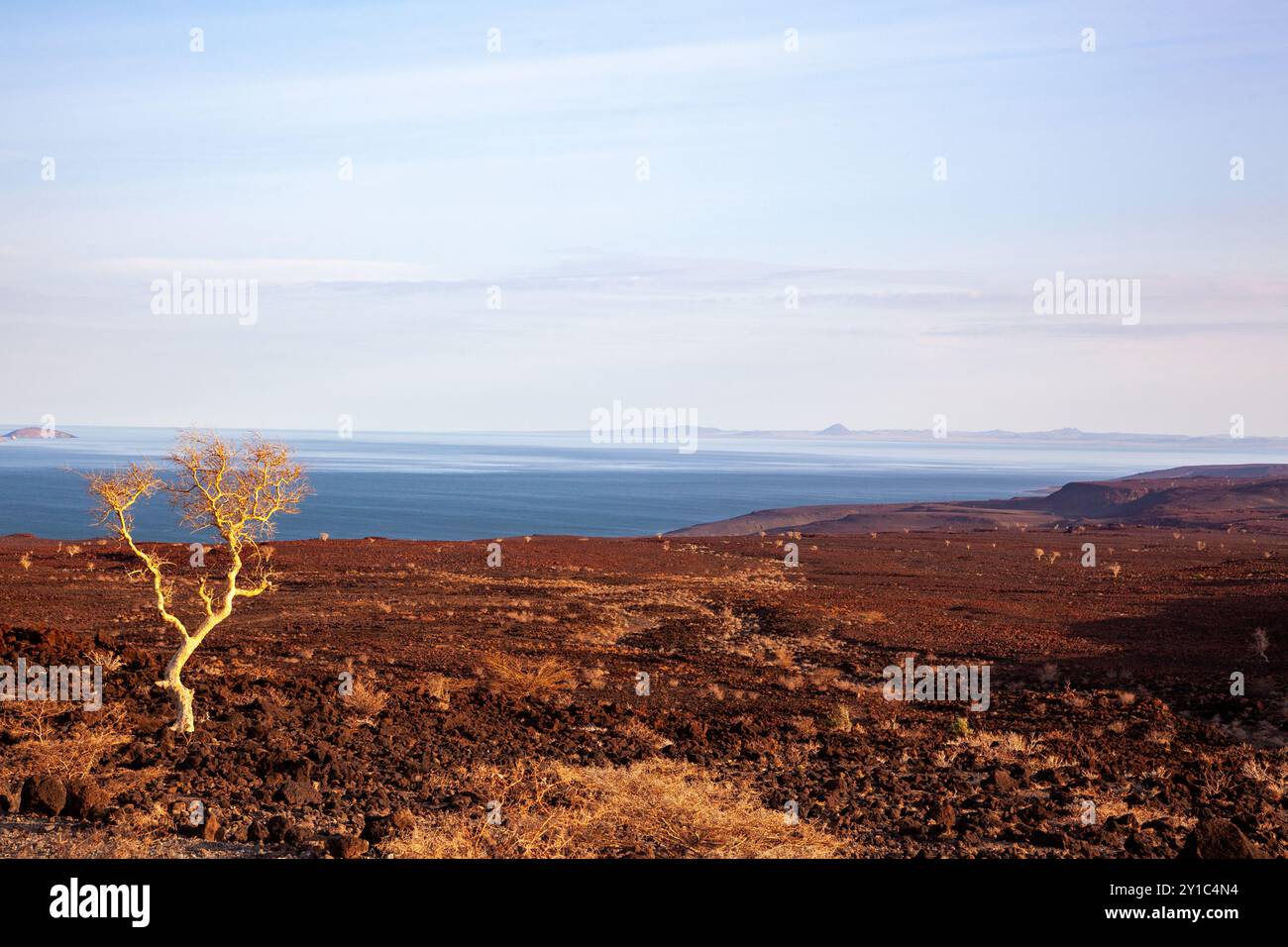 Il lago Turkana è un lago salino nella Rift Valley del Kenya, nel nord del Kenya, con l'estremità settentrionale che attraversa l'Etiopia Foto Stock