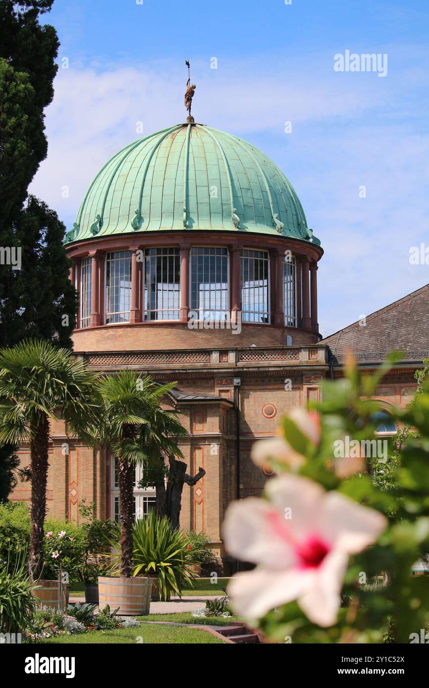 Vista sull'Orangerie della Galleria d'Arte di Stato con fiore di ibisco di fronte a bokeh (Karlsruhe, Germania) Foto Stock