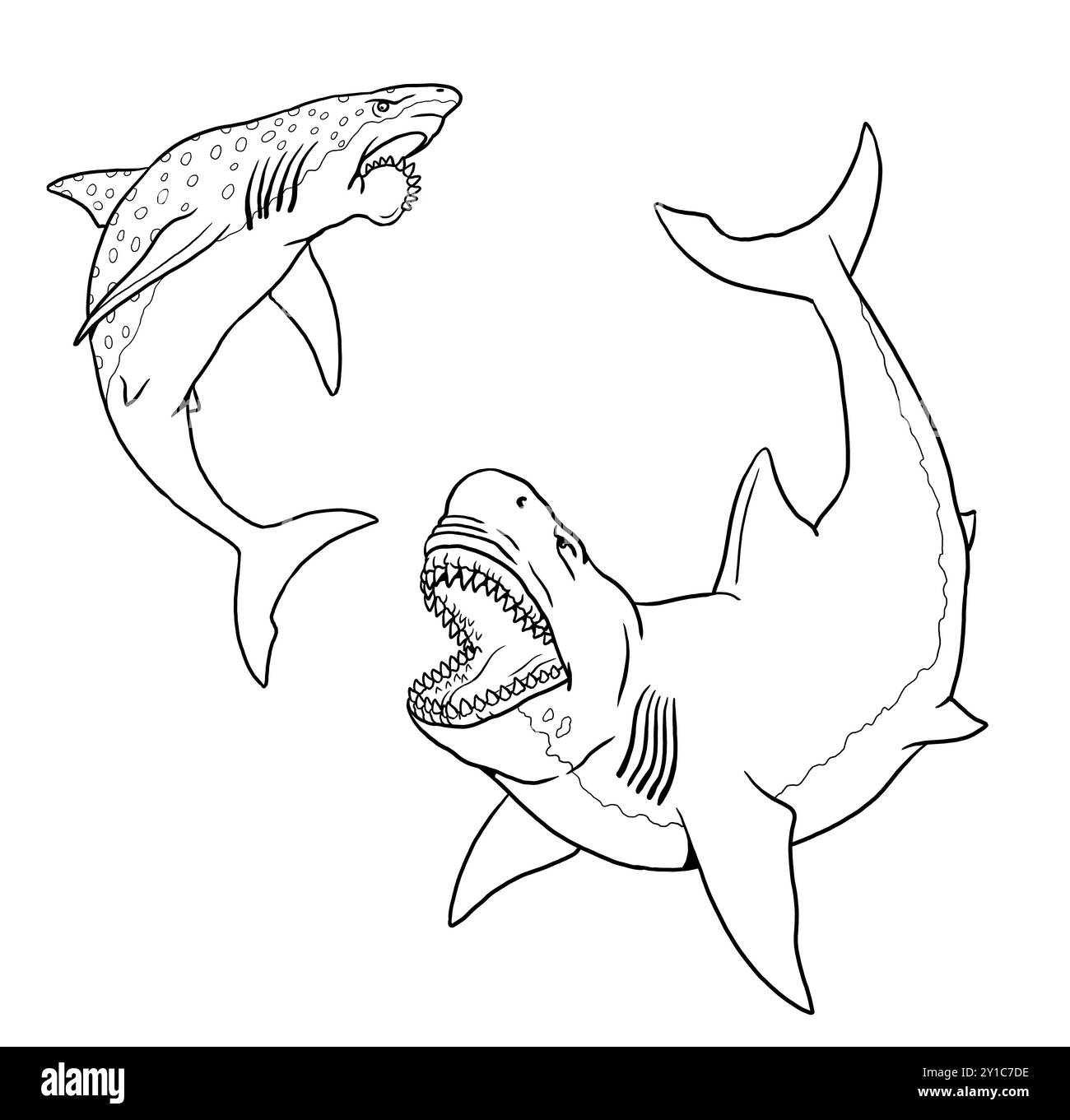 Lo squalo preistorico Megalodon attacca l'Helicoprion. Combatti tra pesci predatori per colorare. Disegno fatto a mano. Foto Stock