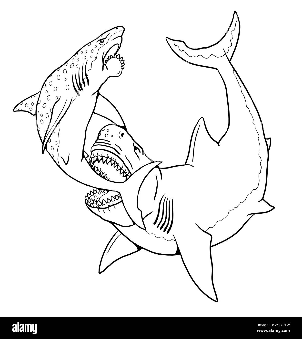 Lo squalo preistorico Megalodon attacca l'Helicoprion. Combatti tra pesci predatori per colorare. Disegno fatto a mano. Foto Stock
