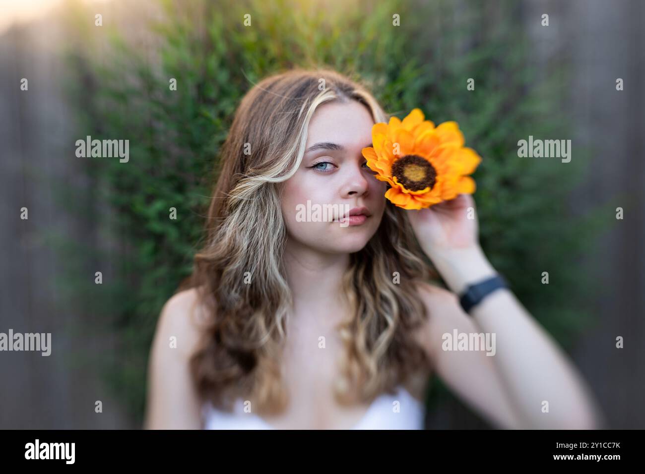 Donna che tiene il girasole agli occhi all'aperto bokeh e luce dorata Foto Stock