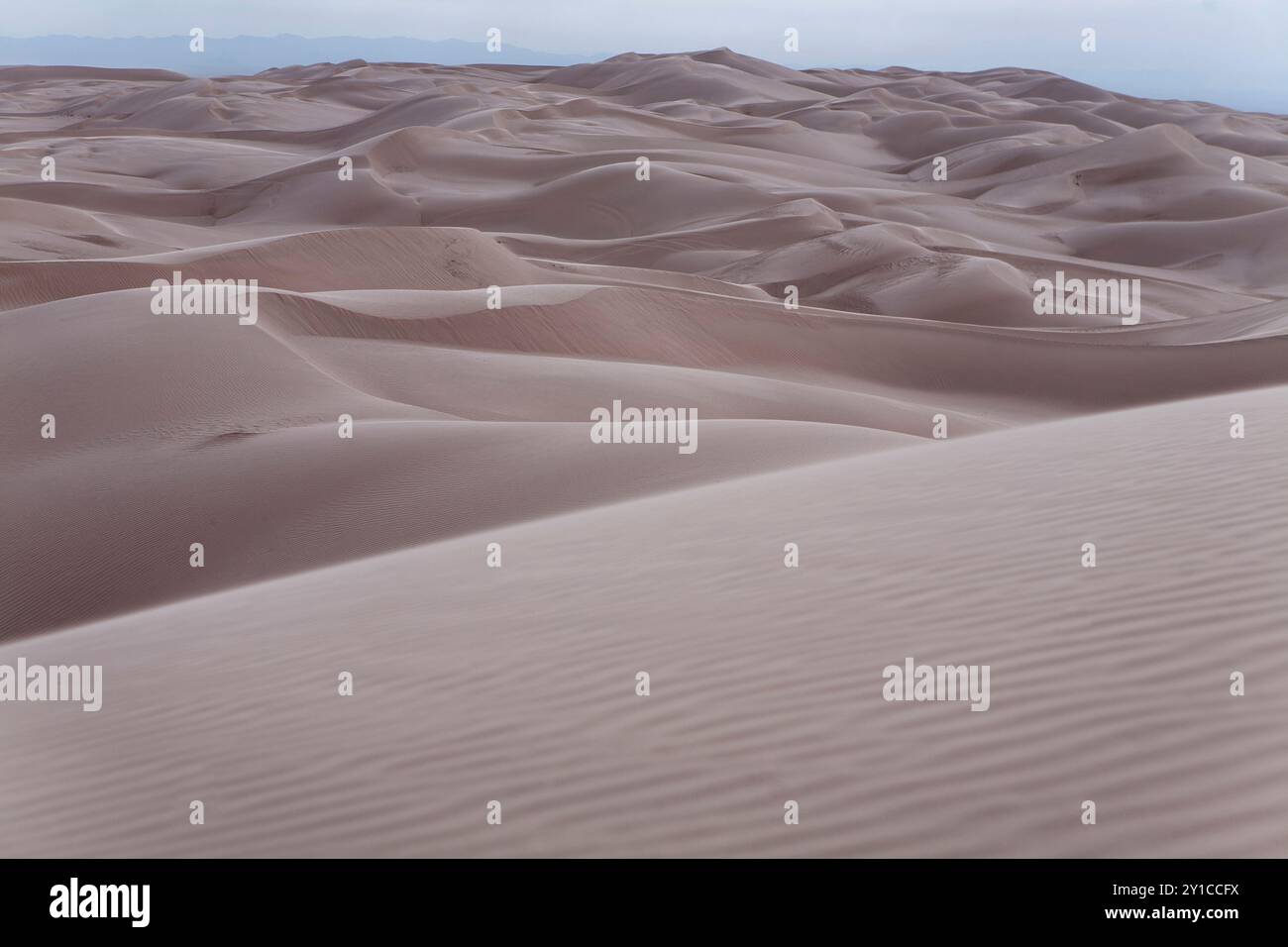 Colline ondulate di dune imperiali di sabbia Foto Stock