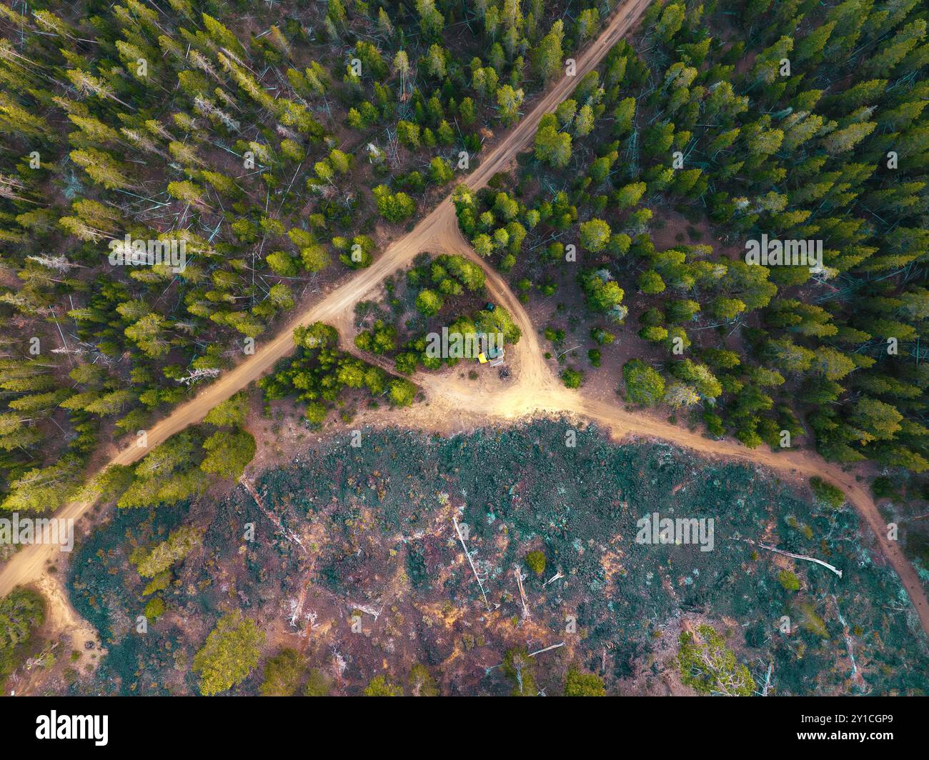 Camion giallo su strada tra foresta e terra lavica nell'Oregon orientale Foto Stock