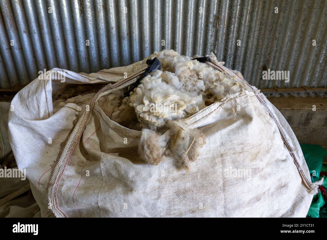 Un sacchetto di lana di pecora grezza e non pulita a Hilandería Warmi, una tessitura a Palpalá, Argentina. Foto Stock