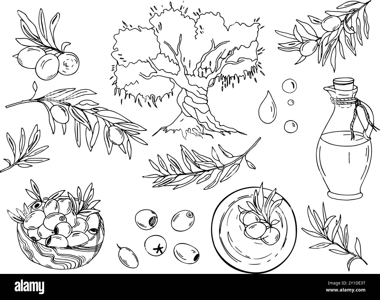 Set di olive, rami, olivo, caraffa di vetro e ciotola con olio e bacche, ciotola di legno con frutta, gocce di olio. Illustrazione grafica vettoriale disegnata a mano Illustrazione Vettoriale