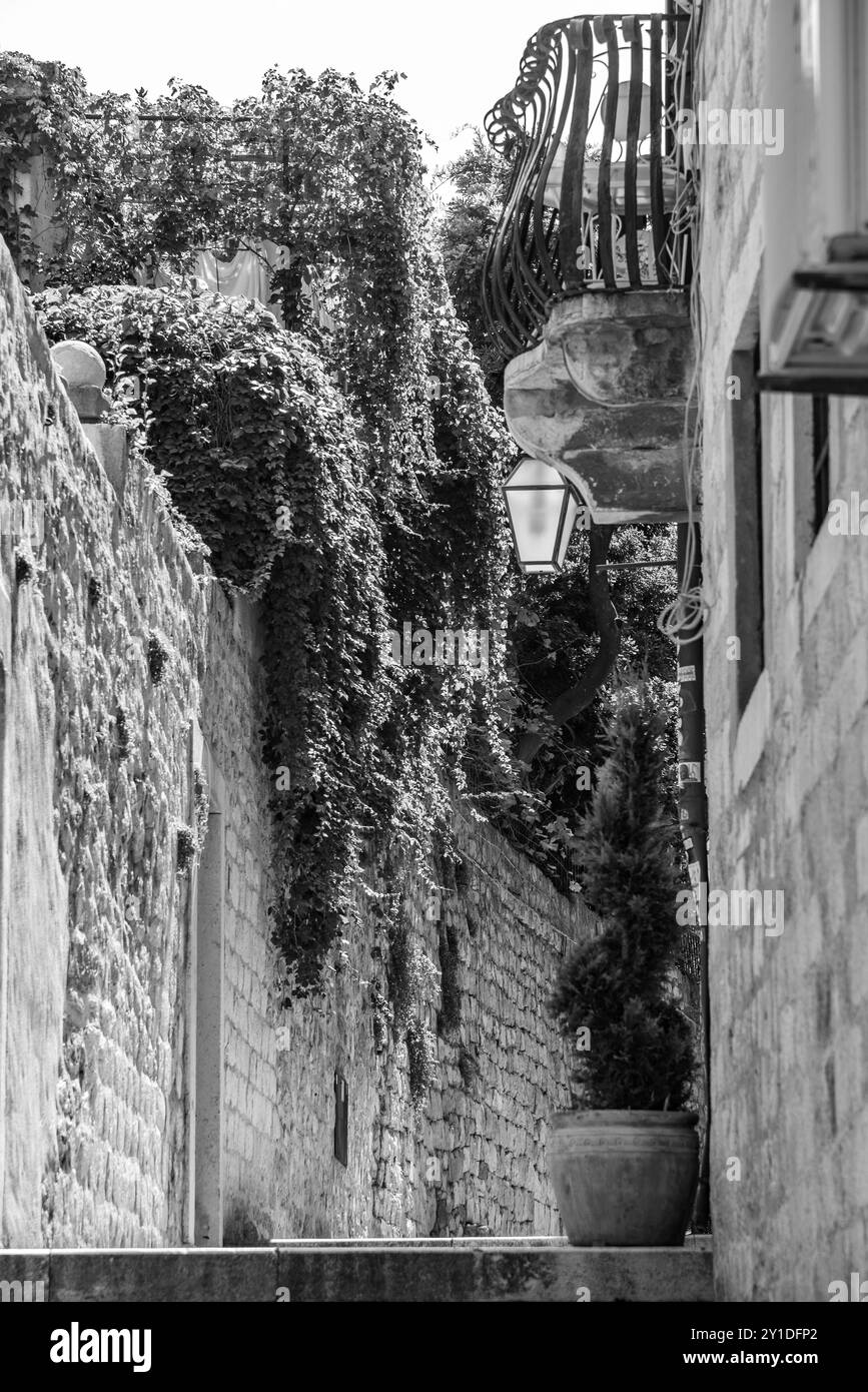 Vicolo acciottolato con scalinate nel centro storico medievale di Dubrovnik in Dalmazia, Croazia Foto Stock