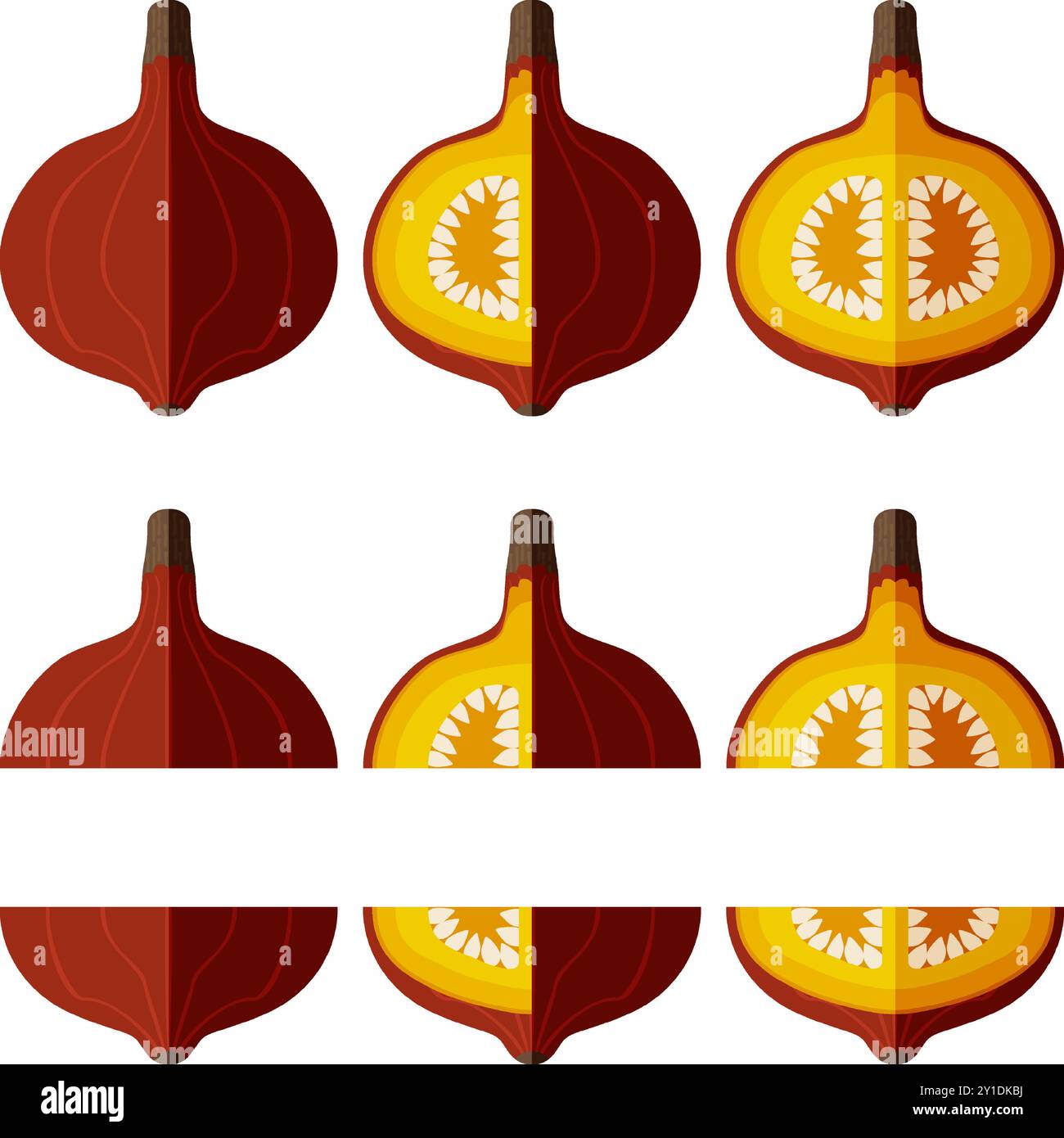 Set di squash Red Kuri. Arrampicata di squash di cipolla, squash di Potimarron. Cucurbita maxima. Verdure. Stile piatto. Illustrazione vettoriale isolata. Illustrazione Vettoriale