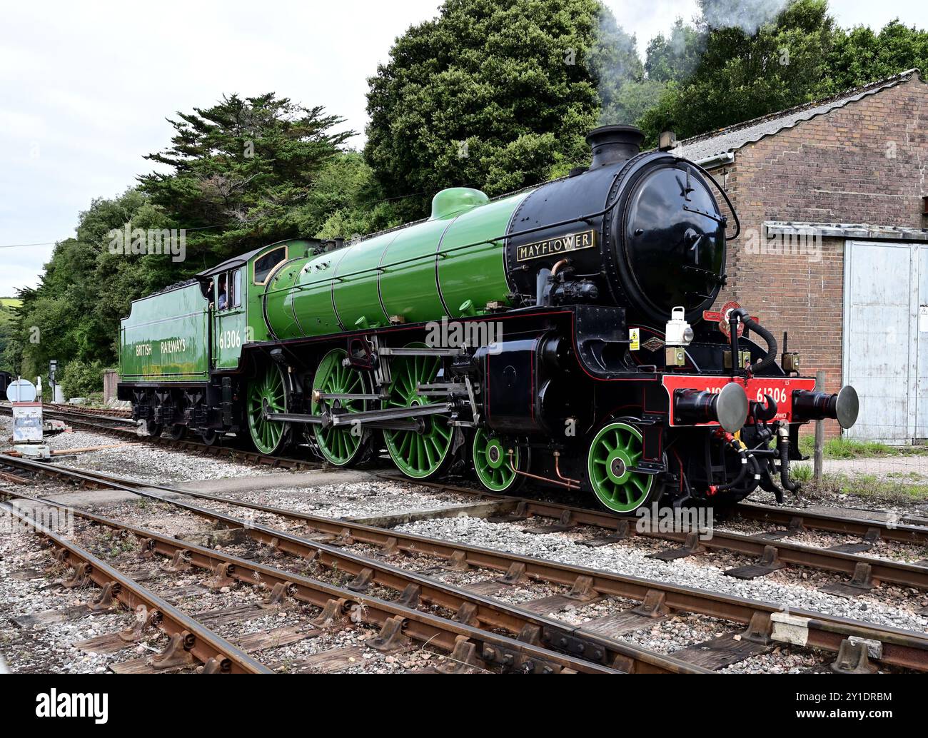 LNER Thompson Classe B1 No 61306 Mayflower lascia Kingswear per Churston prima di trasportare la tratta di ritorno dell'English Riviera Express. Foto Stock