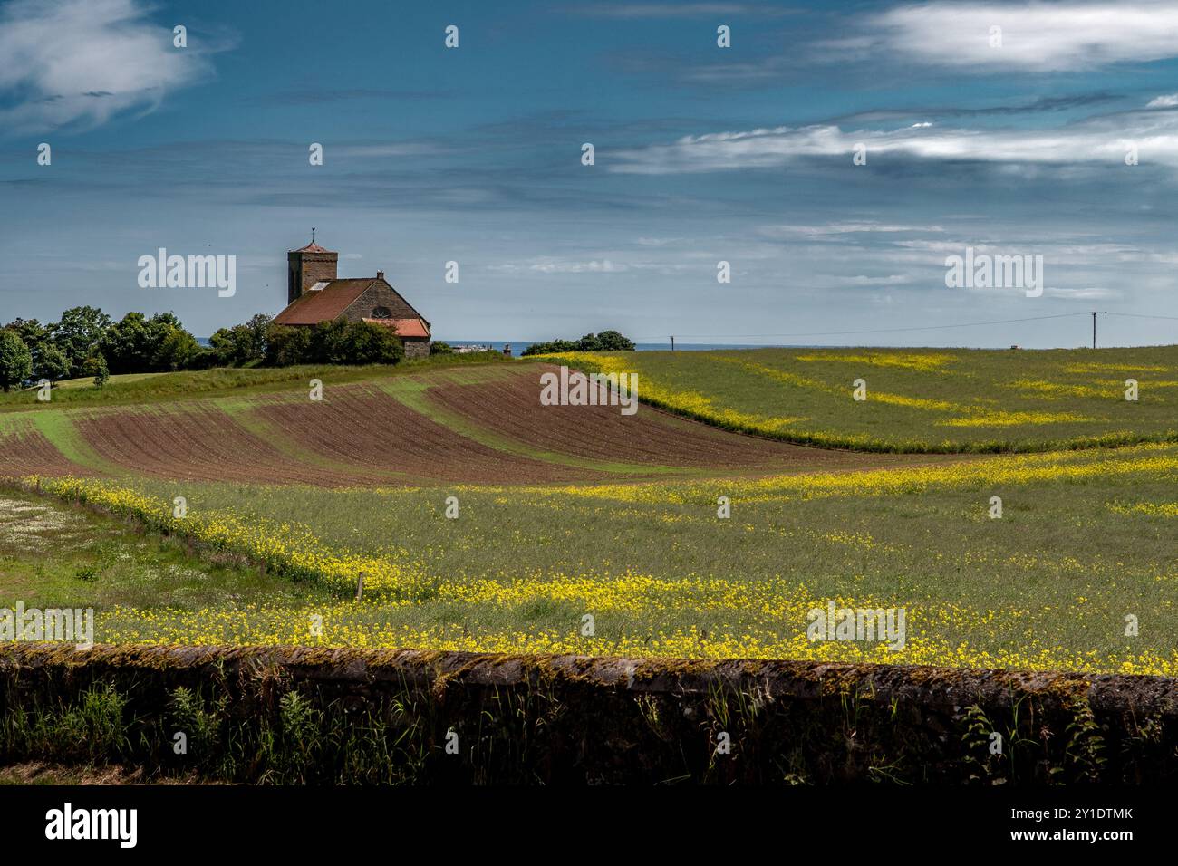 Paesaggio rurale con Chiesa Vecchia al Village St. Abbs nel Berwickshire in Scozia, Regno Unito Foto Stock