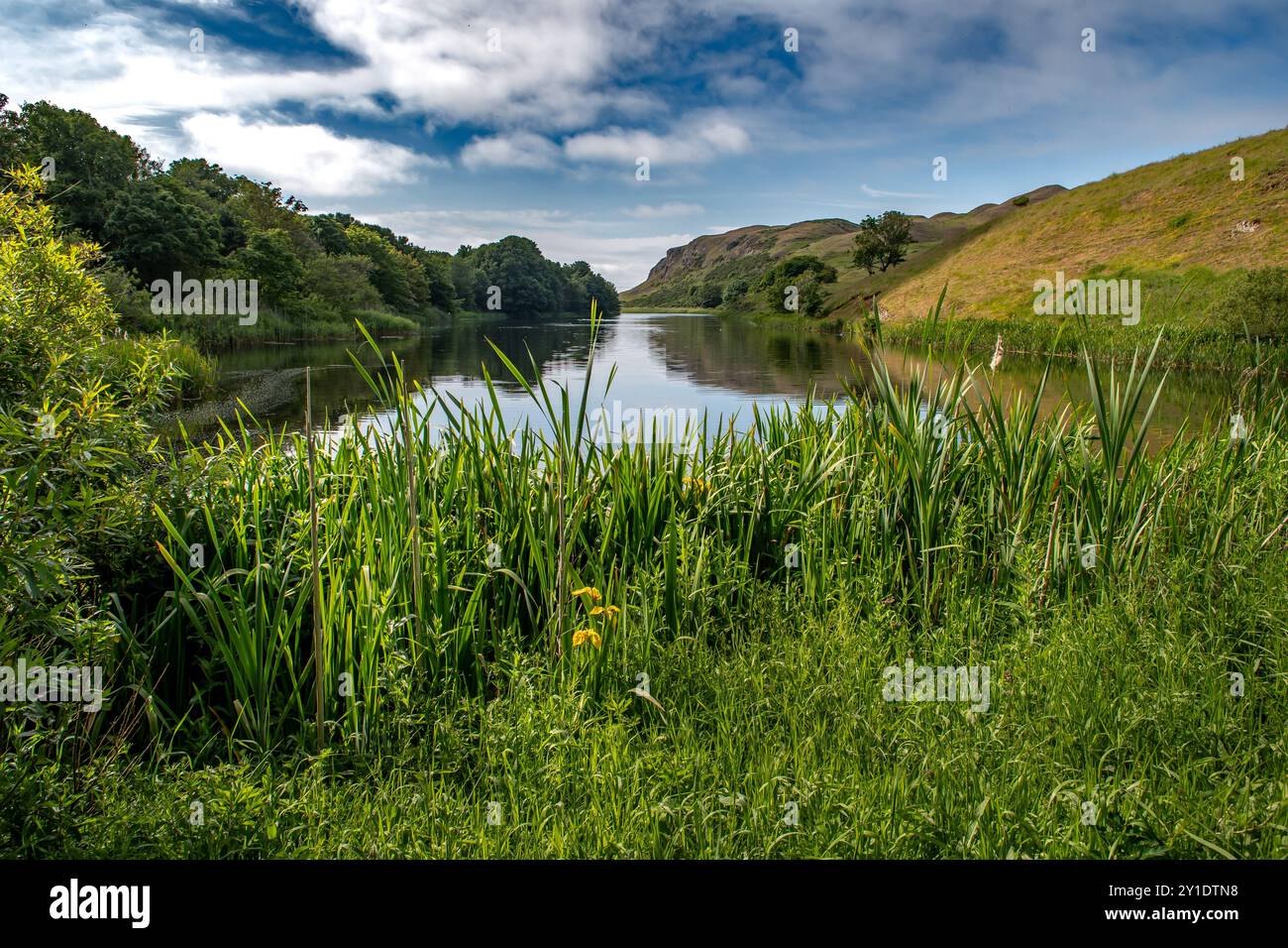 Paesaggio rurale con lago Mire Loch sulla costa atlantica di St. Abbs Head in Scozia, Regno Unito Foto Stock