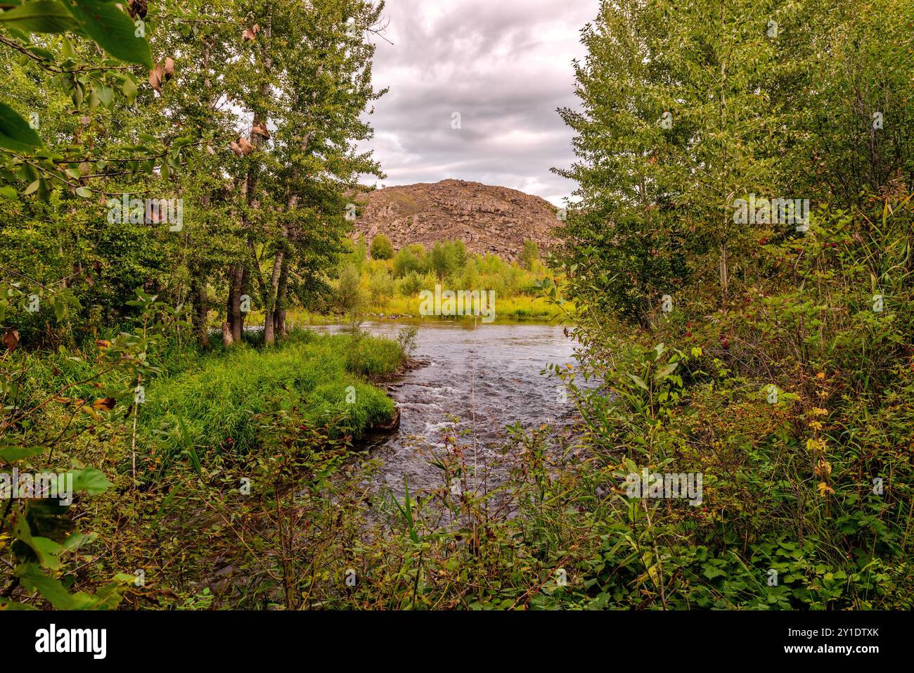 Paesaggio naturale con un ruscello che scorre in un fiume Foto Stock