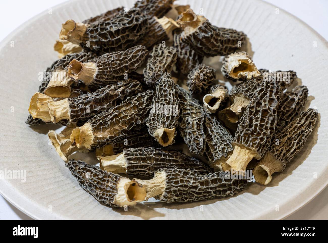 Morel Morchella fungo. Crudo, in un piatto bianco su sfondo isolato Foto Stock