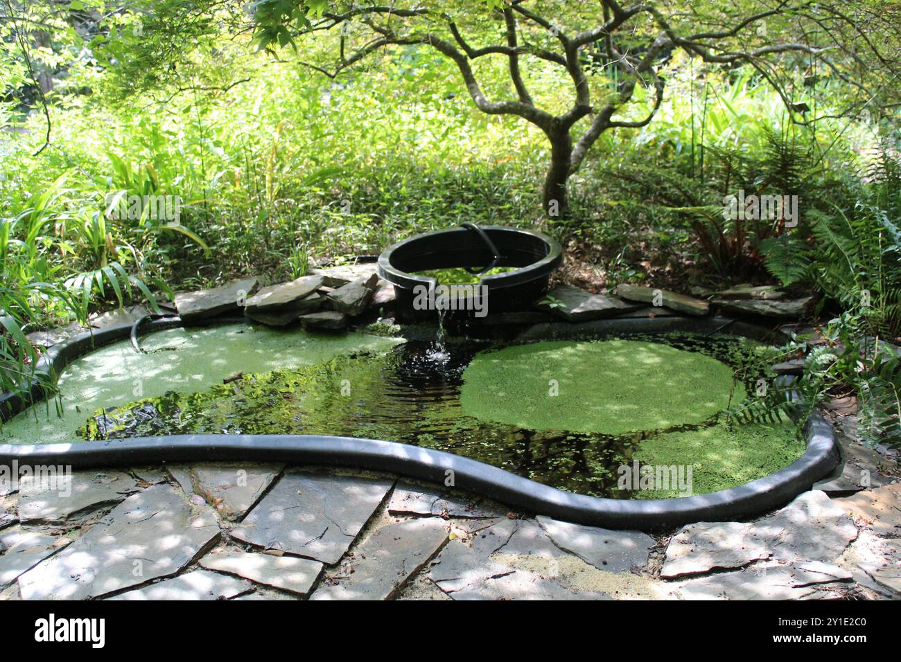 FONTANA PRESSO I GIARDINI CAMELIA IN CAROLINA DEL SUD Foto Stock