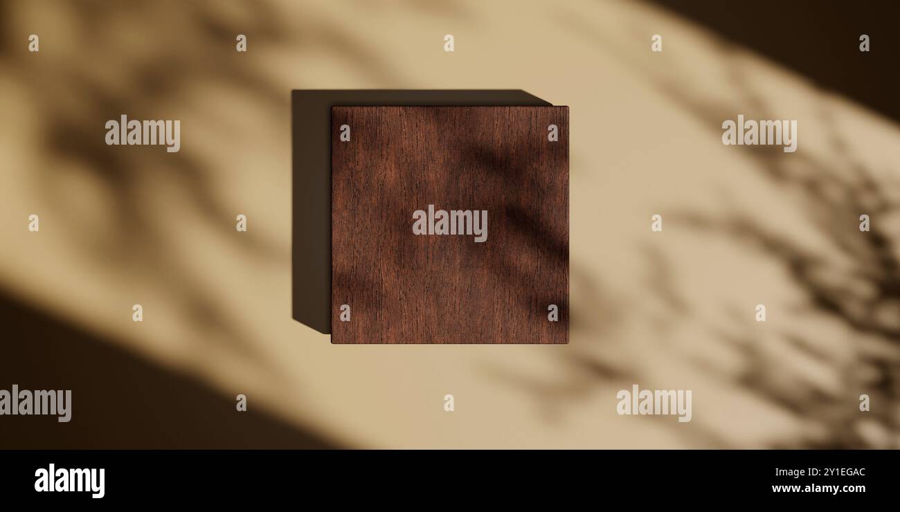 Vista dall'alto del podio in legno naturale su sfondo beige con ombra vegetale. Posizionamento minimo autunnale del prodotto piatto. Tavolino vuoto marrone per beaut Foto Stock