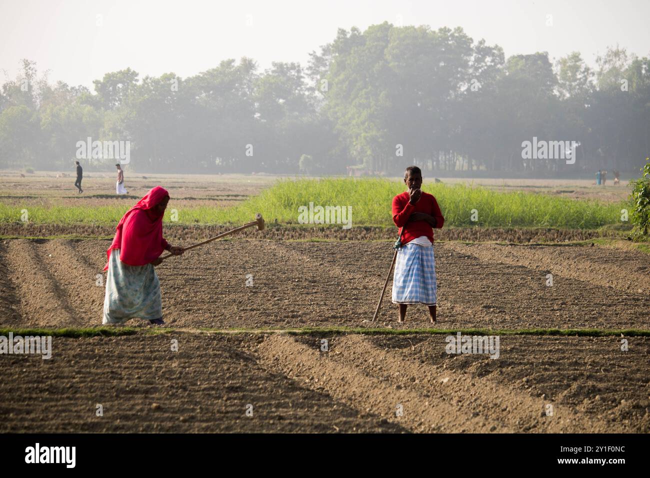 Agricoltore di sesso maschile e femminile che lavora in un campo agricolo in primavera. Vita rurale contadina in bangladesh,Cumilla-Bangladesh:febbraio-6,2024 Foto Stock