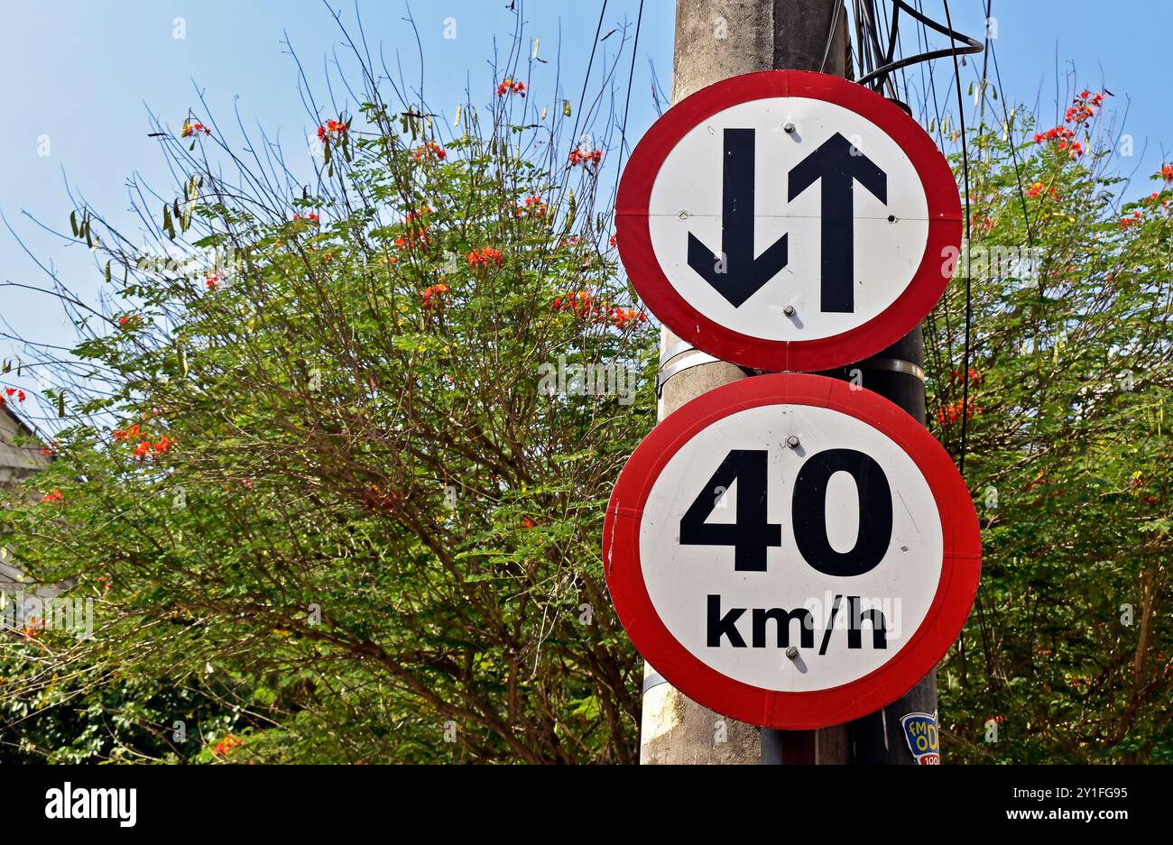 Segnali stradali indicanti il percorso bidirezionale e il limite di velocità a 40 chilometri orari, quartiere di Tijuca, Rio de Janeiro, Brasile Foto Stock