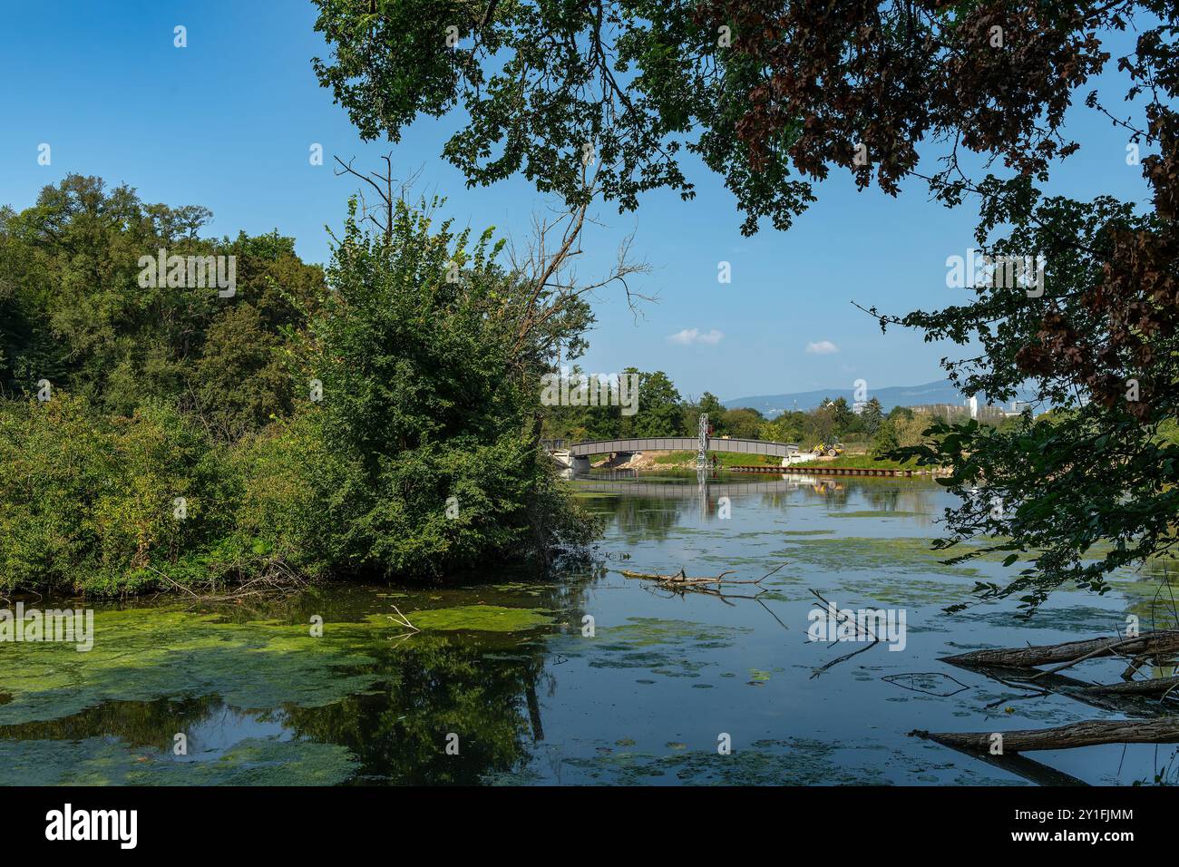 Costruzione di un nuovo ponte pedonale sul fiume Nidda, Francoforte, Germania Foto Stock
