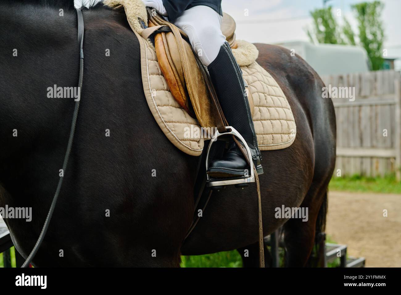 Primo piano di un cavaliere seduto a cavallo mentre si allena con una sella equestre in un ambiente da paddock all'aperto. Cavallo e cavaliere impegnati in pratica equestre mostrando trucchi e attrezzature dettagliate Foto Stock Primo piano di un cavaliere seduto a cavallo mentre si allena con una sella equestre in un ambiente da paddock all'aperto. Cavallo e cavaliere impegnati in pratica equestre mostrando trucchi e attrezzature dettagliate Foto Stock