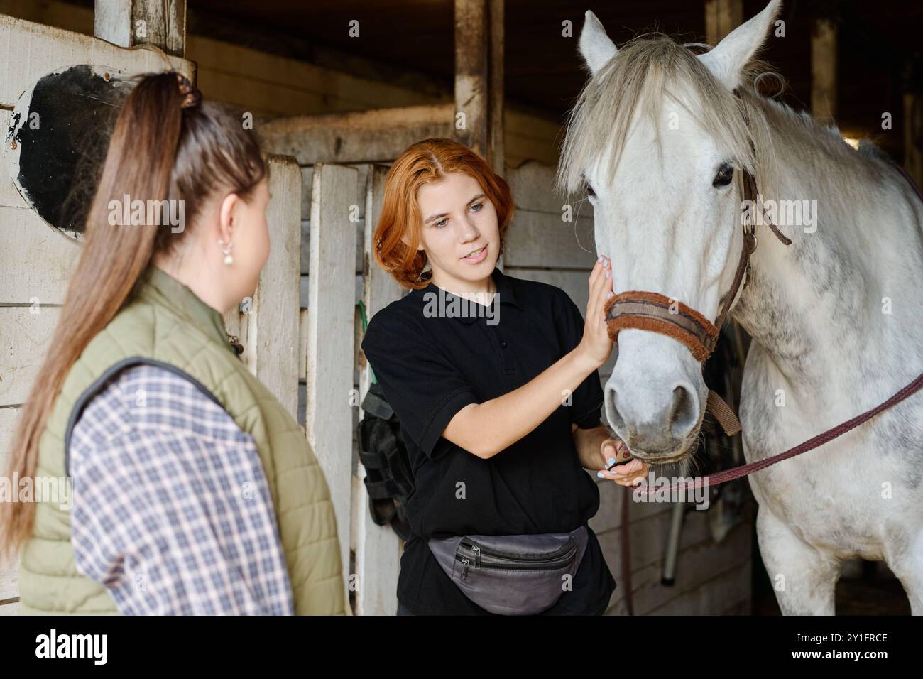 Due donne interagiscono con un cavallo bianco all'interno della stalla, una che accarezza delicatamente il cavallo sul naso mentre l'altra guarda. Sullo sfondo sono visibili pareti in legno e attrezzature per cavalli Foto Stock