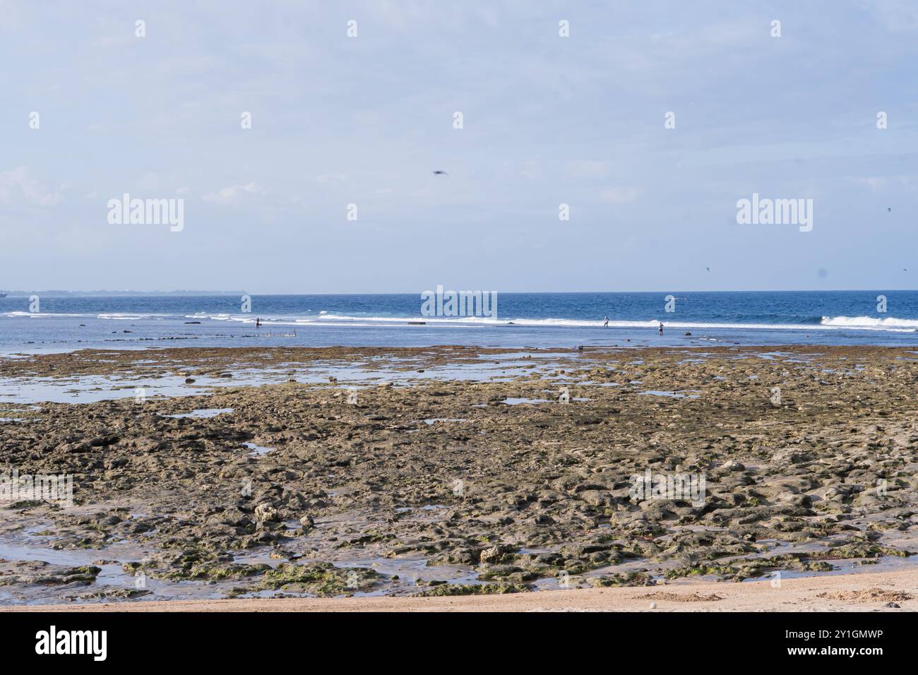 Una vista panoramica di una spiaggia rocciosa durante la bassa marea, con l'oceano sullo sfondo. Le onde dolci si infrangono sulla riva e alcune persone possono essere viste esplorare Foto Stock