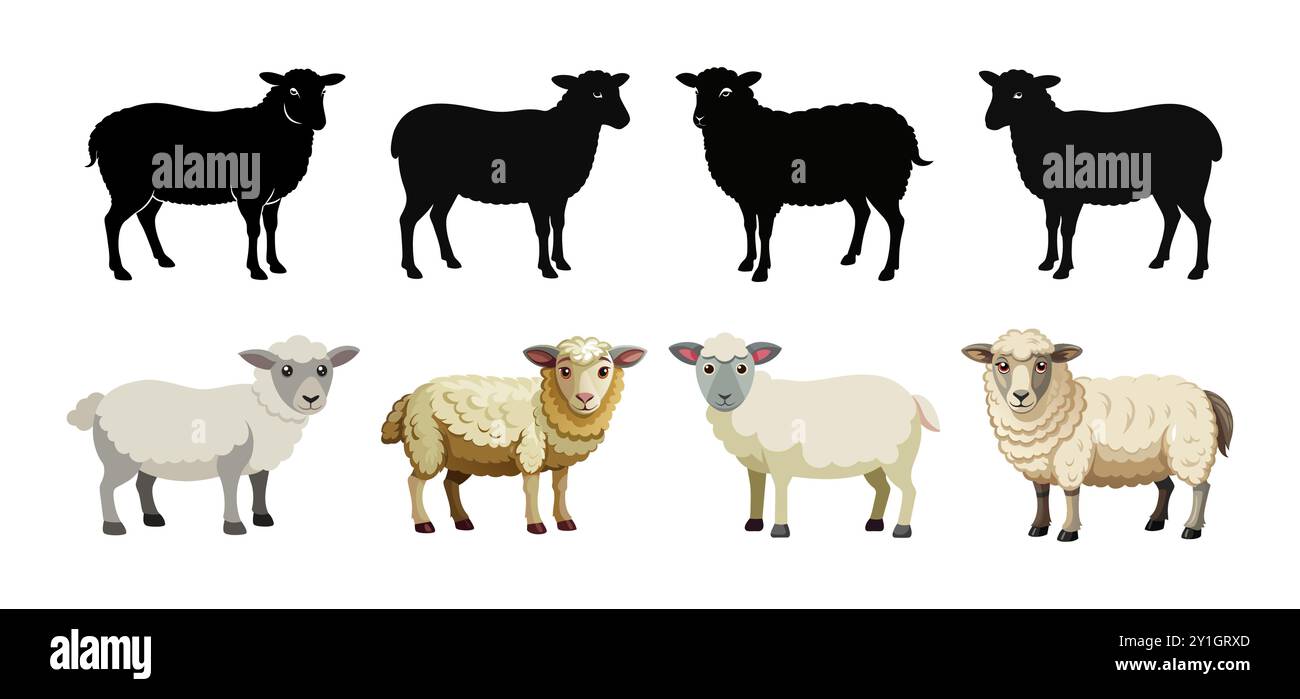 Set di pecore nere e cartoni animati colorati isolate su sfondo bianco. Concetto di animali da fattoria, pecore domestiche, bestiame carino, illu rurale Illustrazione Vettoriale