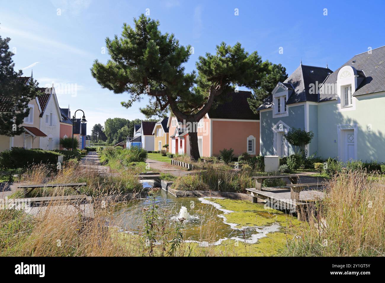 Eaux Vives, Belle Dune, Promenade du Marquenterre, Fort Mahon Plage, Côte Picarde, somme, Hauts de France, la Manche, Francia, Europa Foto Stock