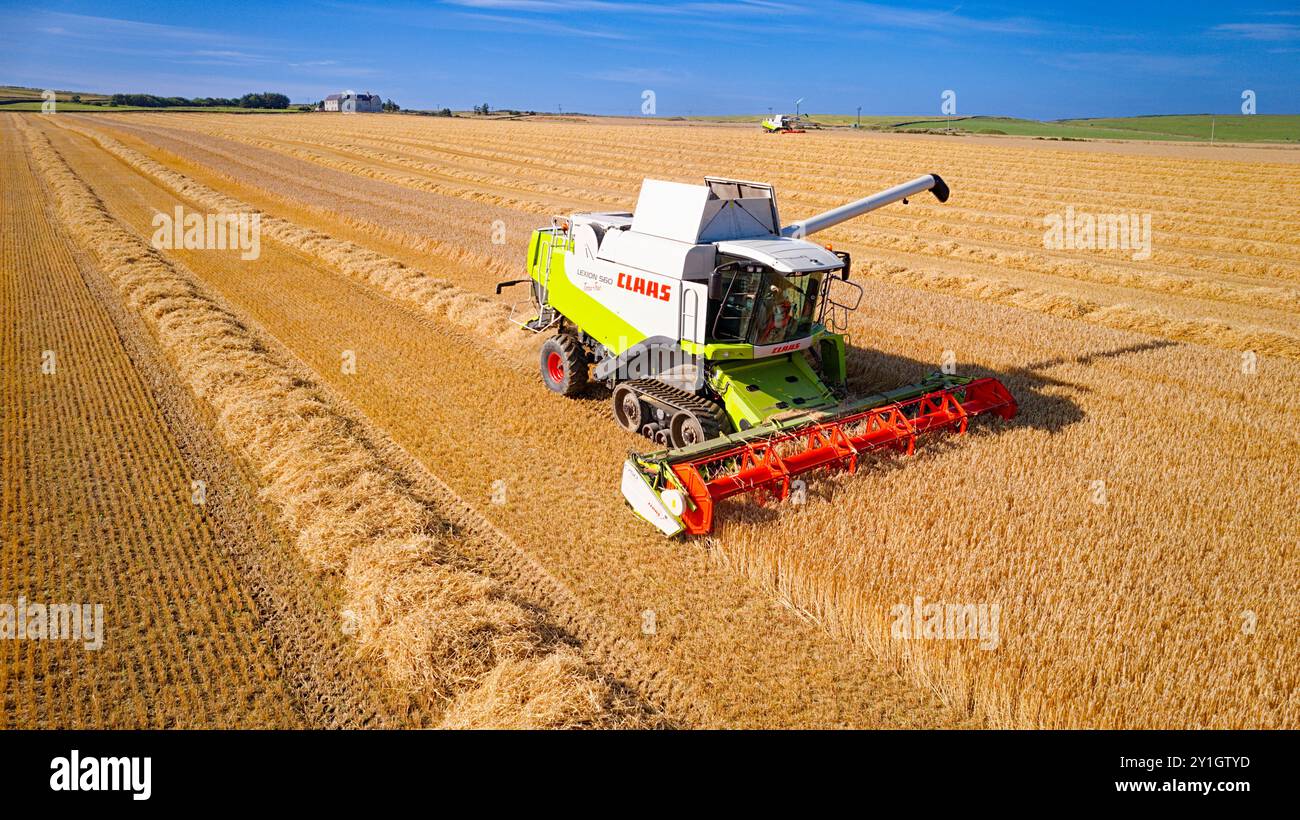 Combina Harvester Caithness Scotland con un cielo estivo blu e un campo di orzo con una macchina in avvicinamento Foto Stock