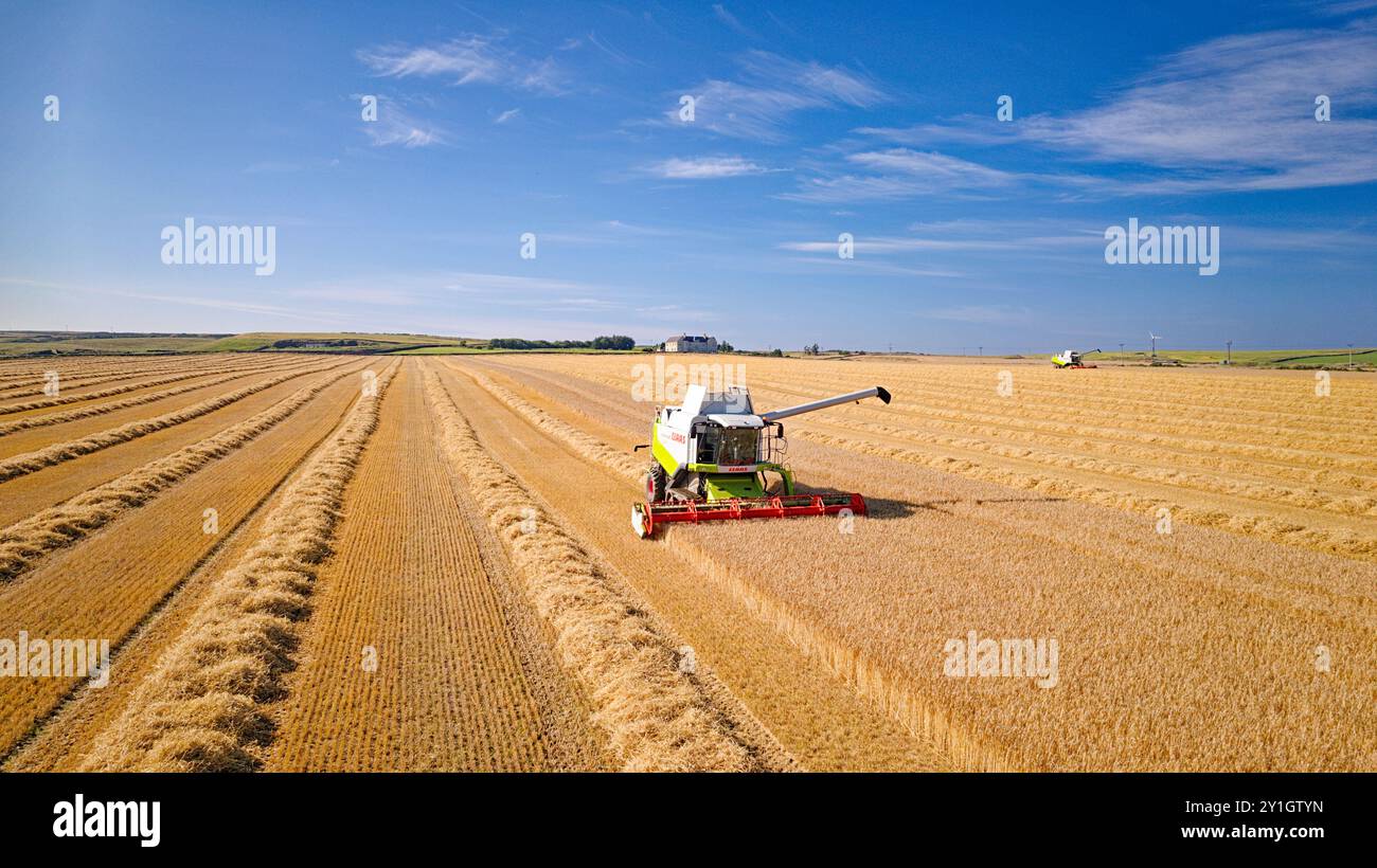 Combina la Harvester Caithness Scotland, un campo di orzo blu estivo e una macchina in avvicinamento Foto Stock