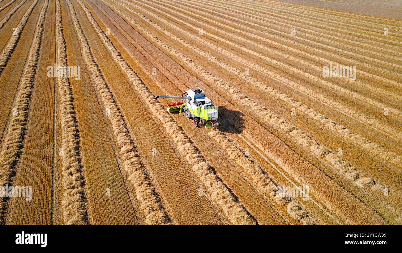 Mietitrebbia Caithness Scotland la trebbiatrice che finisce un campo di orzo a fine estate Foto Stock