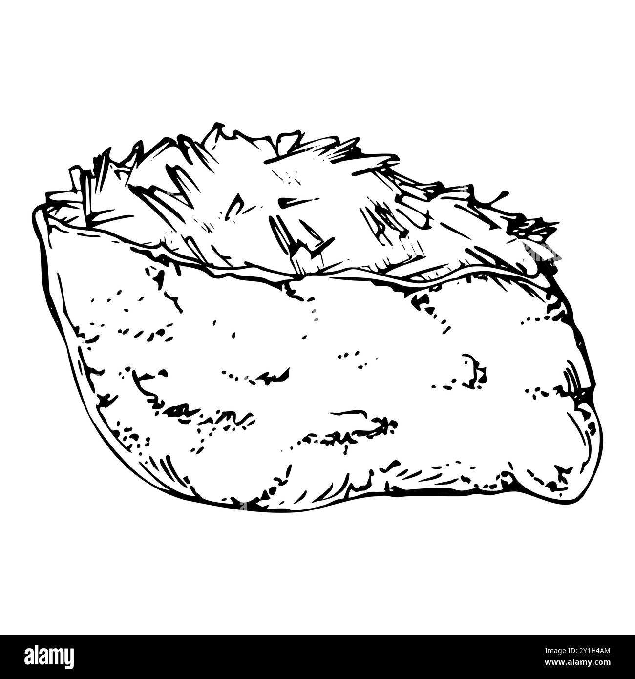 Sushi inari tradizionale giapponese, tasca di tofu fritta, omelette al formaggio di soia con pesce crudo salmone granchio di tonno. Disegnato a mano in penna vettoriale, inchiostro Illustrazione Vettoriale