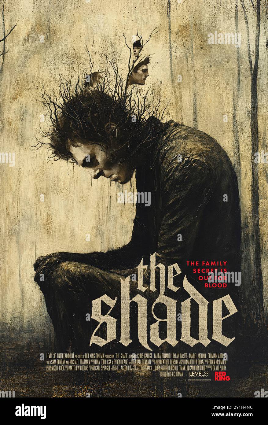 The Shade (2023) diretto da Tyler Chipman e interpretato da Laura Benanti, Brendan Sexton III e Michael Boatman. Un ventenne in lutto lotta per tenere unita la sua famiglia, mentre un'indescrivibile oscurità affligge suo fratello maggiore. Manifesto pubblicitario STATUNITENSE ***SOLO PER USO EDITORIALE***. Credito: BFA / Level 33 Entertainment Foto Stock