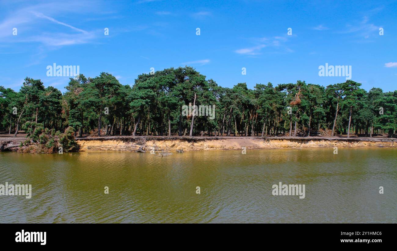 Un tranquillo paesaggio caratterizzato da un lago calmo delimitato da una fitta foresta di alberi verdi sotto un cielo azzurro. L'acqua riflette il verde, creando un Foto Stock