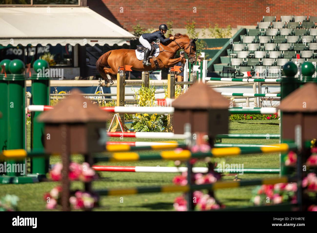 Calgary, Canada - 6 settembre 2024. Jaydan Stettner, canadese, gareggia nella classe CSI2* di 1,45 m a Spruce Meadows durante il Rolex Masters. Contrassegnare Spowar Foto Stock