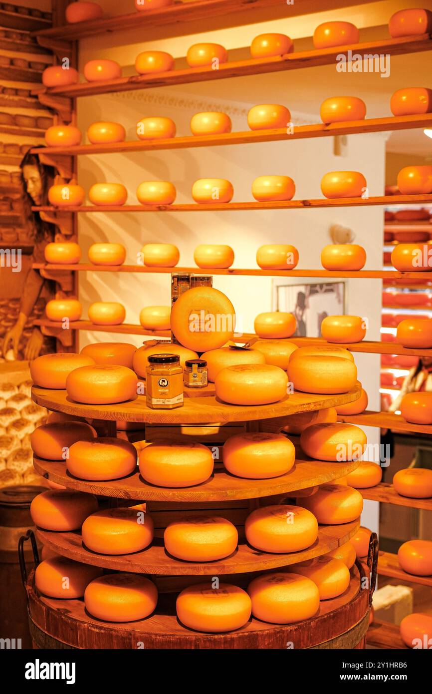Delft, Paesi Bassi, 19 giugno 2024; formaggi interi di Gouda sugli scaffali di un negozio di formaggi olandese Foto Stock
