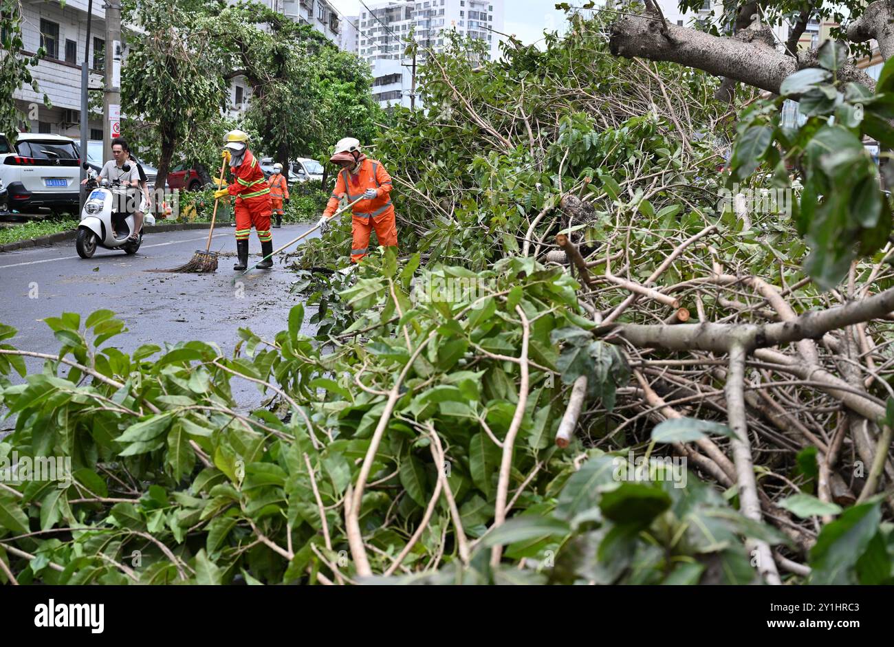 Haikou, la provincia cinese di Hainan. 7 settembre 2024. Lavoratori sgomberare una strada a Haikou, nella provincia di Hainan, nella Cina meridionale, 7 settembre 2024. Il Super Typhoon Yagi ha colpito la provincia dell'isola di Hainan, nella Cina meridionale, con forti piogge e venti gustosi, lasciando almeno due persone morte e 92 feriti, hanno detto le autorità locali sabato. Quando venti e piogge si placarono, Hainan diminuì il suo allarme tifone e avviò rapide operazioni di recupero in tutta la provincia. Crediti: Guo Cheng/Xinhua/Alamy Live News Foto Stock