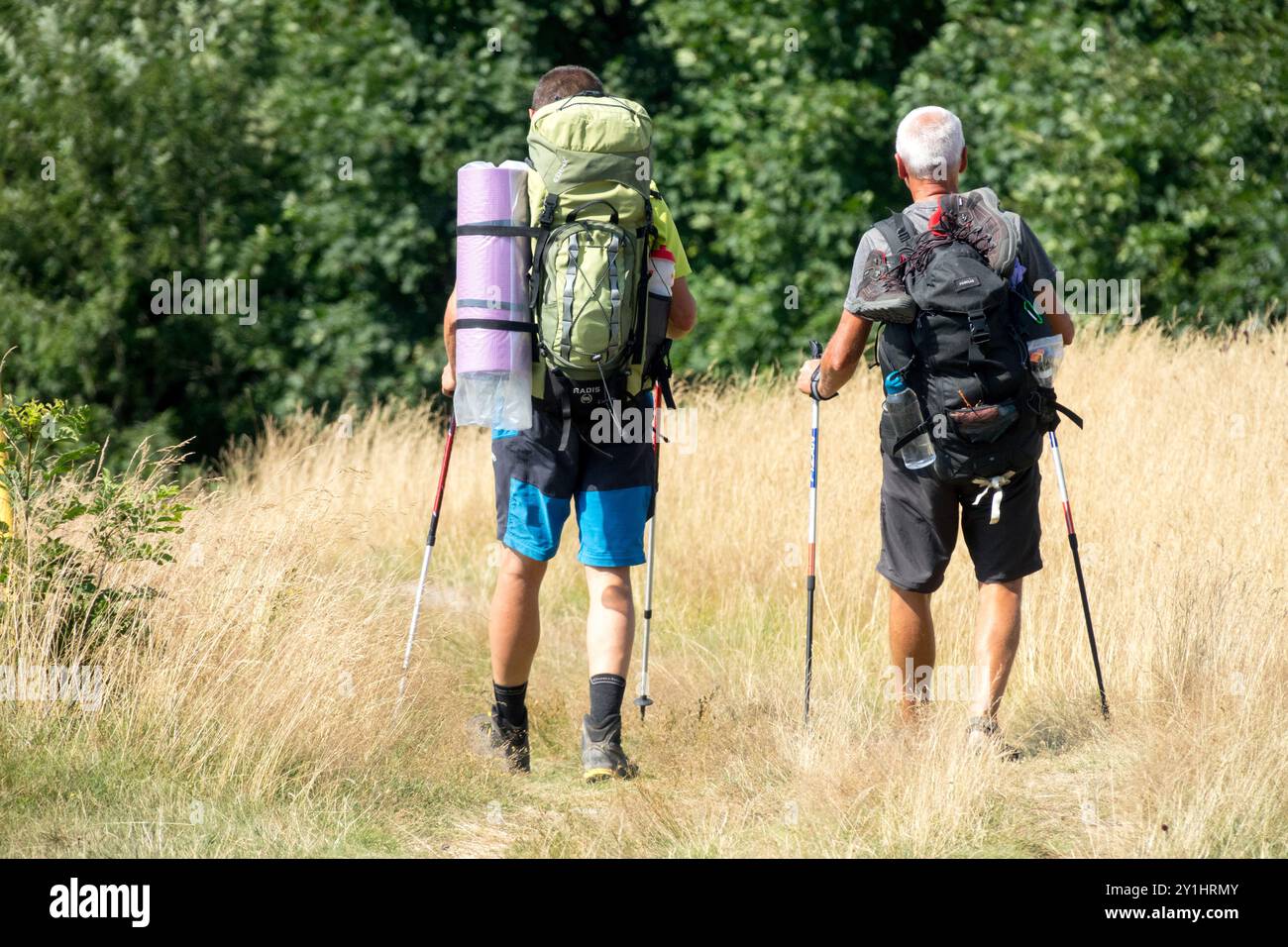 Due escursionisti con zaini e pali da trekking camminano in un'area erbosa circondata da lussureggianti alberi verdi in una giornata di sole Foto Stock