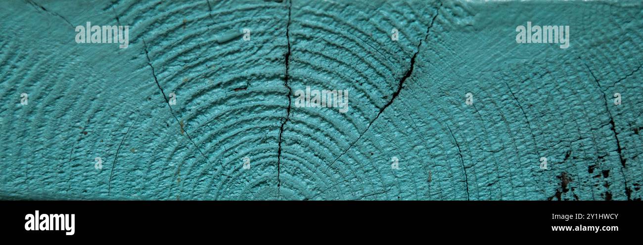 primo piano di una vecchia venatura di legno di pino blu turchese con spazio per copiare, vista dall'alto, primo piano su sfondo in legno Foto Stock