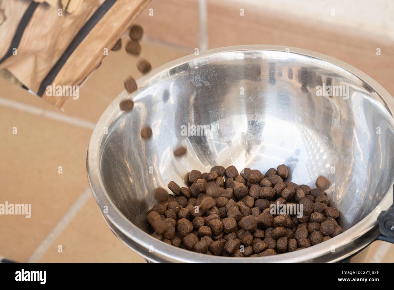 Una ciotola piena di cibo per cani viene versata in una ciotola Foto Stock