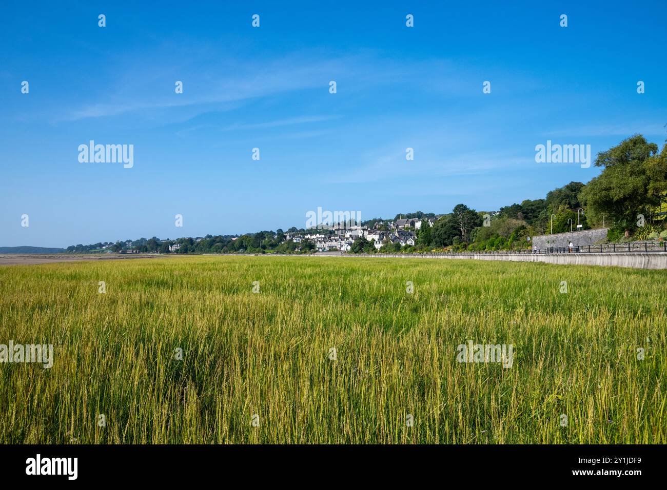 Grange-over-Sands, ai margini della baia di Morecambe, nel sud della Cumbria, Inghilterra. Foto Stock