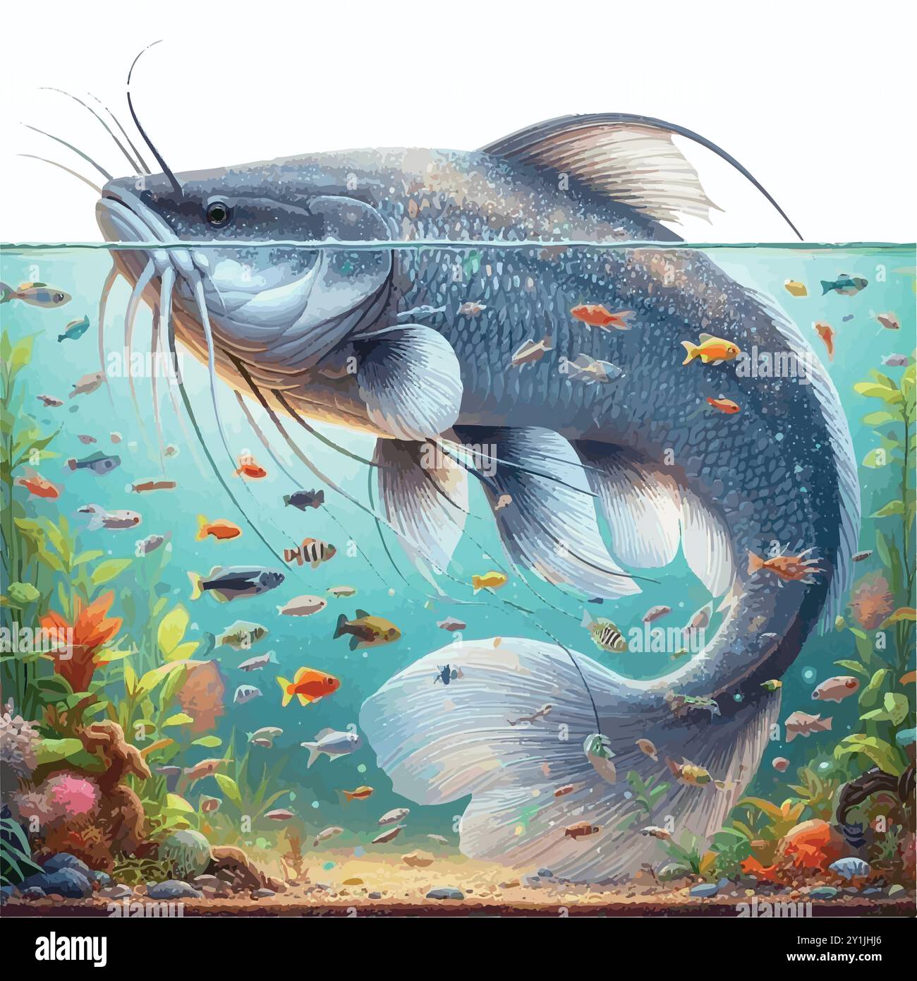 Piraíba pesce gatto: Una cattura mostruosa per i pescatori. Illustrazione Vettoriale
