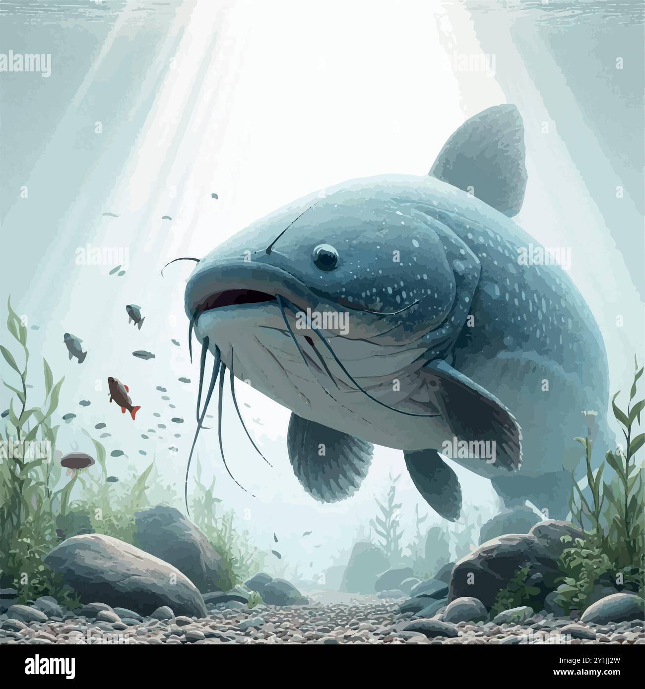 Piraíba pesce gatto: Svelare il mistero di questo gigante del fiume. Illustrazione Vettoriale