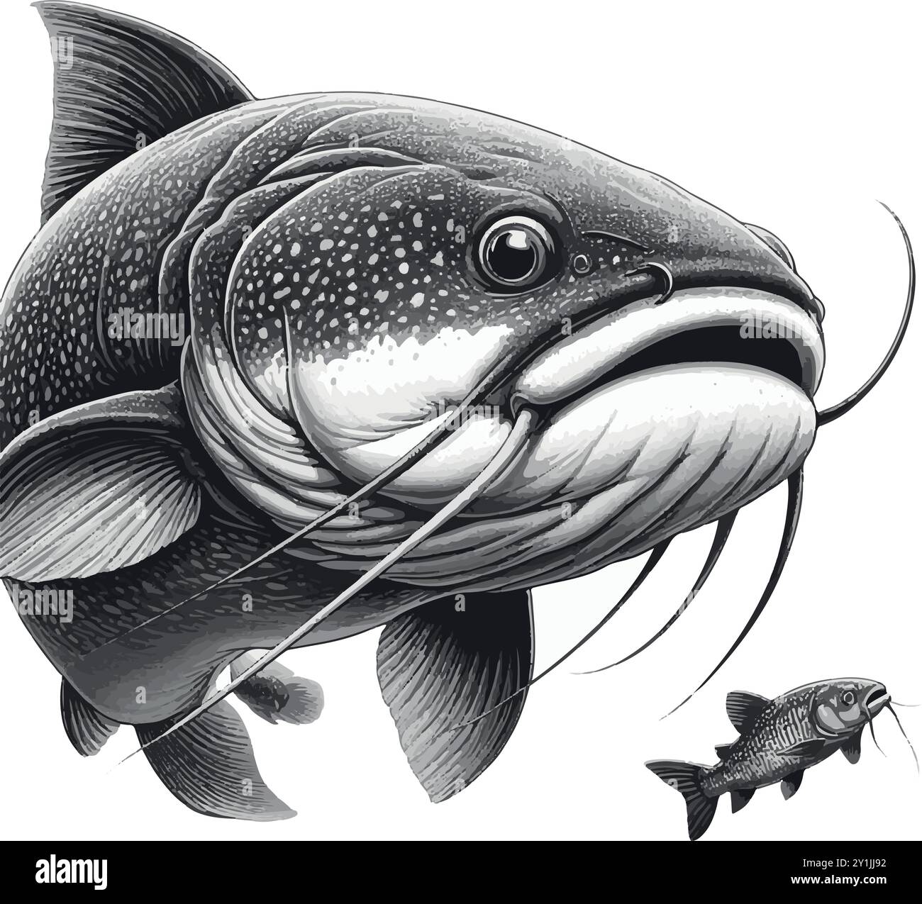 Alla scoperta del gigante Piraíba pesce gatto: Le leggende dell'Amazzonia. Illustrazione Vettoriale