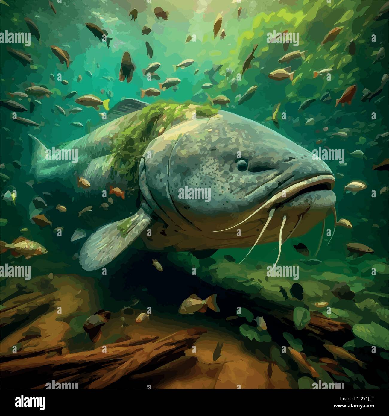 Piraíba Catfish: Il più grande Predator di acqua dolce. Illustrazione Vettoriale