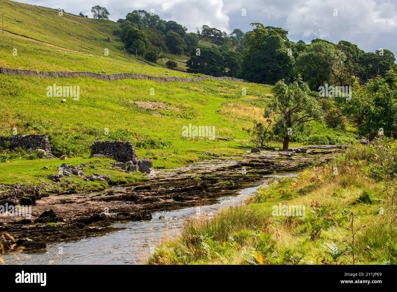 River Wharfe, Yockenthwaite, Langstrothdale, Yorkshire Dales National Park. Le iconiche pareti di pietra a secco circondano i pascoli sulle ripide colline. Foto Stock