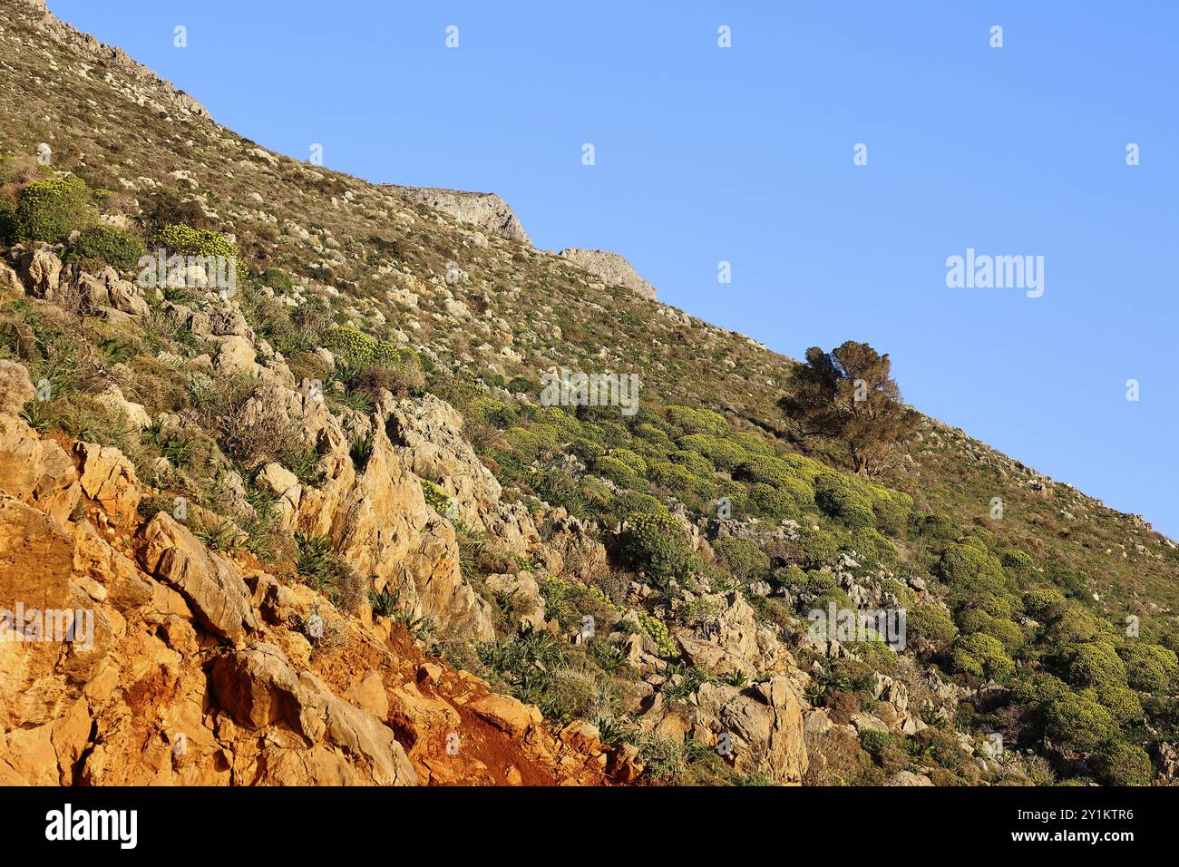 Luce del mattino, ripidi pendii con cespugli verdi e rocce sotto un cielo azzurro, penisola di Gramvoussa, Creta nord-occidentale, Creta, isole greche, Grecia, E. Foto Stock
