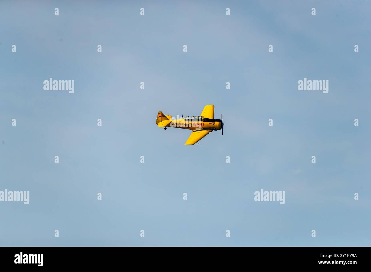 Portrush, Regno Unito. 7 settembre 2024. 07/09/2024 Portrush Portrush Airshow 2024 l'Harvard G-NWHF è l'ultimo aereo ad unirsi al team Navy Wings. Utilizzata principalmente per addestrare i nostri piloti è la versione statunitense della famiglia Harvard di grande successo, che risale alla fine degli anni '1930 Vi furono oltre 17.000 esemplari di tipo generico costruiti, sia come Harvards (costruiti per le forze aeree britanniche e del Commonwealth), SNJ con un gancio per ponte per la US Navy o T6 Texans per l'US Army. Crediti: Bonzo/Alamy Live News Foto Stock