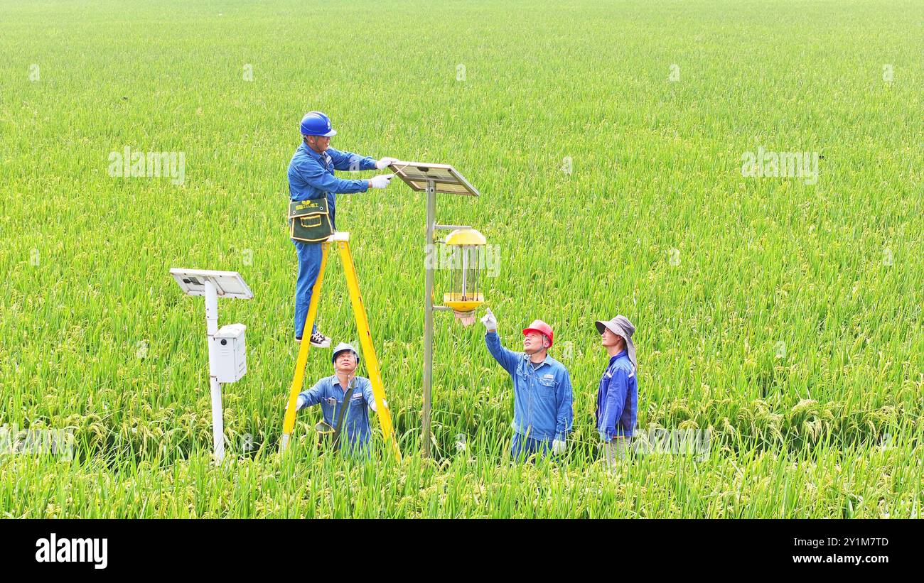 CHUZHOU, CINA - 7 SETTEMBRE 2024 - i lavoratori ispezionano un'apparecchiatura di monitoraggio agricola intelligente e guidano gli agricoltori ad usarla nella città di Chuzhou, AN Foto Stock