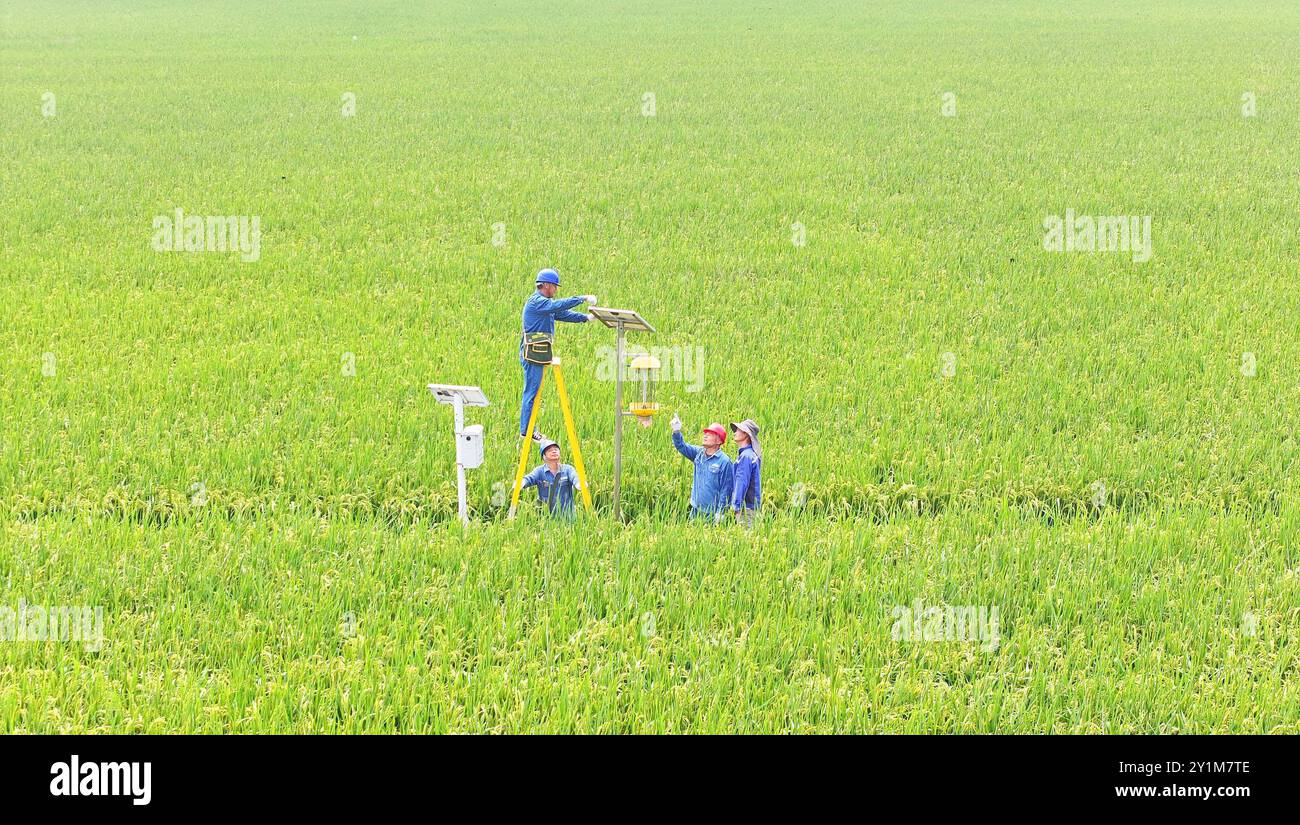 CHUZHOU, CINA - 7 SETTEMBRE 2024 - i lavoratori ispezionano un'apparecchiatura di monitoraggio agricola intelligente e guidano gli agricoltori ad usarla nella città di Chuzhou, AN Foto Stock