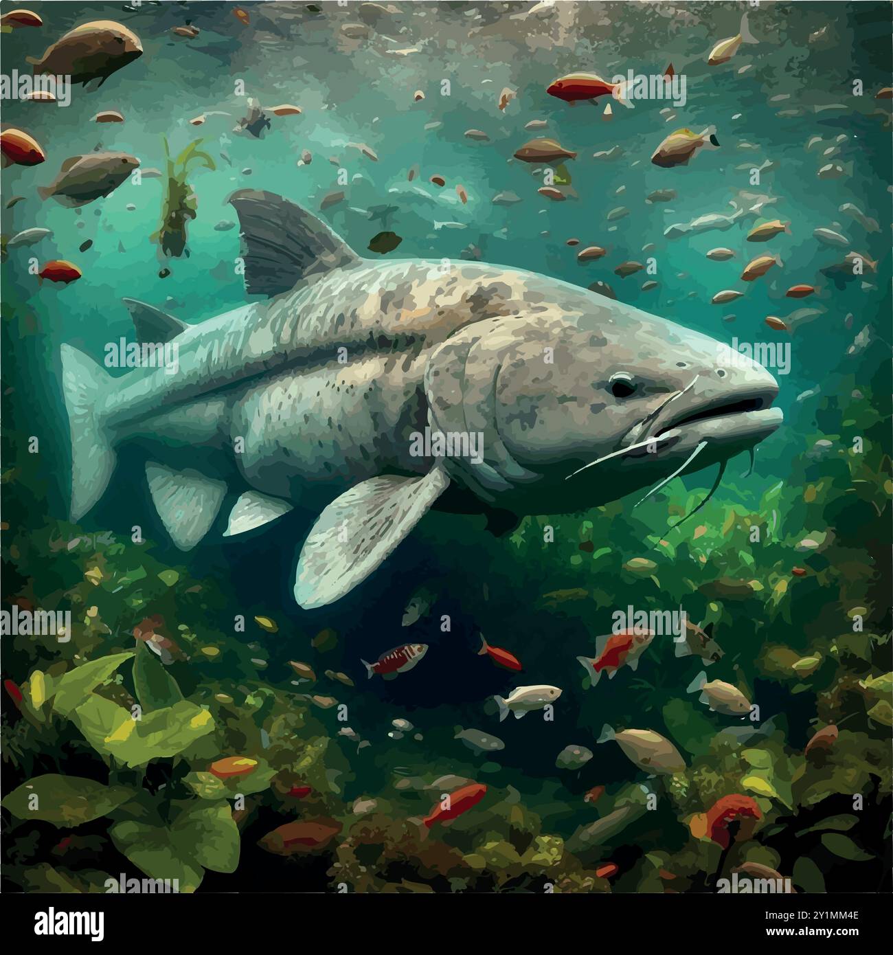 Piraíba Catfish: Il più grande Predator di acqua dolce. Illustrazione Vettoriale
