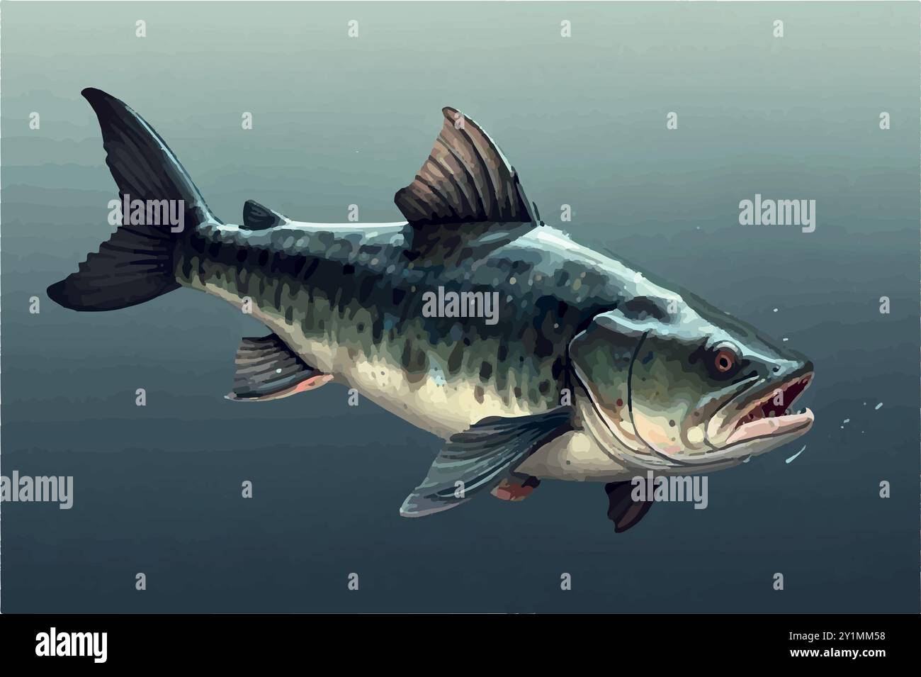 Il gigante Piraíba pesce gatto: Re delle acque amazzoniche. Illustrazione Vettoriale